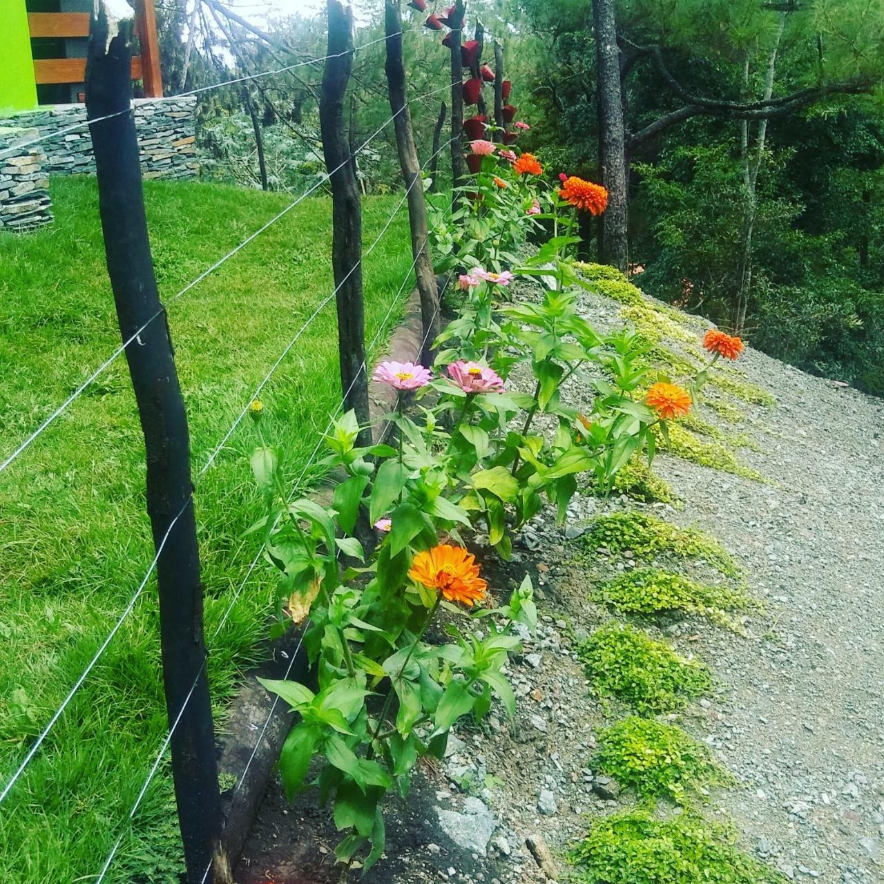 Apartamento Mi Hogar Jarabacoa Exterior foto